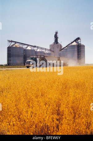 A truck leaving a Paterson inland grain terminal after delivering a load of grain, Morris, Manitoba, Canada Stock Photo