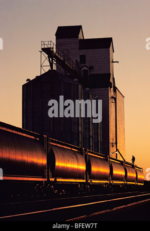 Man loading railway hopper car with wheat at a grain elevator, Dugald, Manitoba, Canada Stock Photo