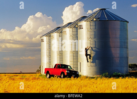 A farmer checks his grain storage bins located in front of a mature crop of winter wheat near Carey, Manitoba, Canada Stock Photo