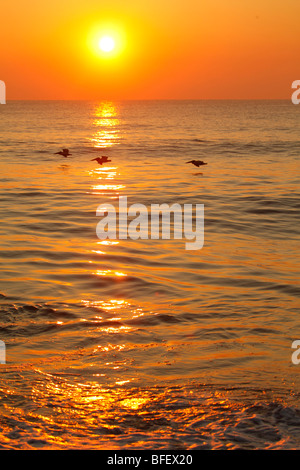 Sunrise at Carolina Beach, Cape Fear / Wilmington area, North Carolina ...