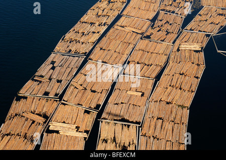 Aerial photo of log booms at the Catalyst Paper Mill, Crofton, Vancouver Island, British Columbia, Canada. Stock Photo