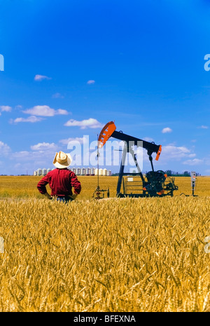 Man looks out over a harvest ready wheat field with an oil pump jack and grain storage bins in background near Sinclair Manitoba Stock Photo