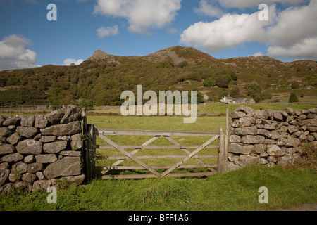 gateway into field in Eskdale in the english lake district with Great Barrow and Little Barrow fell in the background sunny day Stock Photo