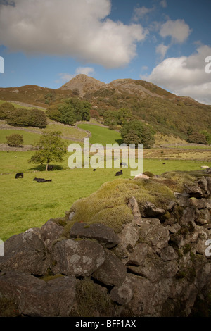 Little Barrow and Great Barrow fell in the Eskdale valley of the English Lake District with a traditional dry stone wall Stock Photo