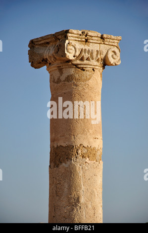 Column at sunset, Kato Pafos Archaelogical Park, Pafos, Pafos District, Cyprus Stock Photo
