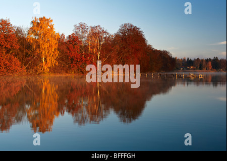 Herbststimmung am Wörthsee, Oberbayern, Deutschland Stock Photo