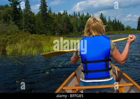 Rain Lake Algonquin Park Stock Photo