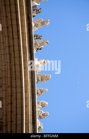 Gargoyles on Notre Dame in Dijon Stock Photo