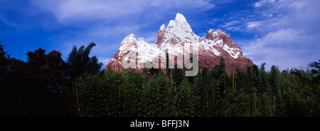 Expedition Everest, Animal Kingdom, Disney World, Orlando, Florida, USA Stock Photo