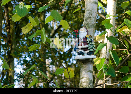 Santa Claus figure suspended from a tree in a woodland. Stock Photo