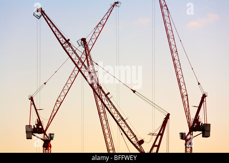 Cranes Stock Photo