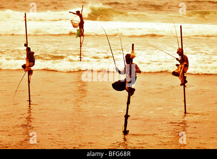 Stilt fishermen, Sri Lanka, traditional stilt fisherman at Kogalla, Sri Lanka, Sri Lankan stilt fishing Stock Photo