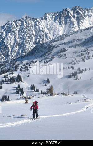 Young woman skiing up Outlook Creek. Backcountry skiing in Kokanee Glacier Provincial Park. Nelson, British Columbia, Canada Stock Photo