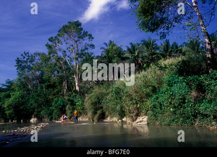 Jamaican man, adult man, tour guide, bamboo raft, bamboo raft trip, The Great River, Great River, village of Lethe, Jamaica Stock Photo