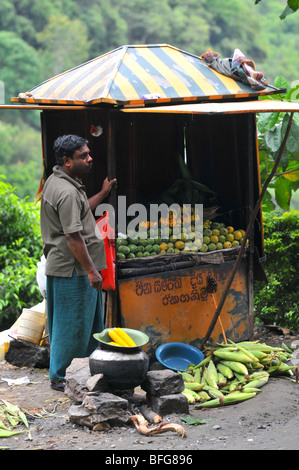 Fruit stall, Sri lanka, roadside market stall selling fresh fruit, Sri Lanka Stock Photo