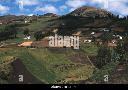 Patchwork crops of maize and other crops in the foothills of Chimborazo Volcano near Riobamba Ecuador Stock Photo