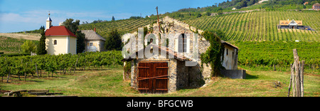 Wine cellar in the Badascony vineyards , Balaton, Hungary Stock Photo