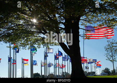 Brooklyn, Iowa of Flags