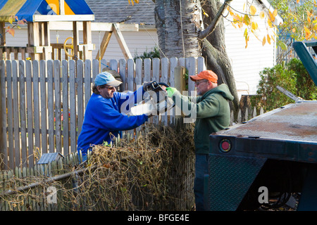 Two men passing a chainsaw over a backyard fence safely. Yard clean up on a crisp autumn day. Stock Photo