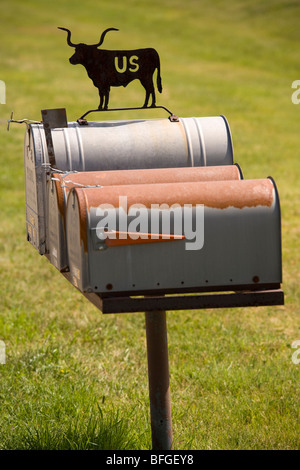 American US-Mail box decorated with cattle silhouette in Nebraska USA Stock Photo