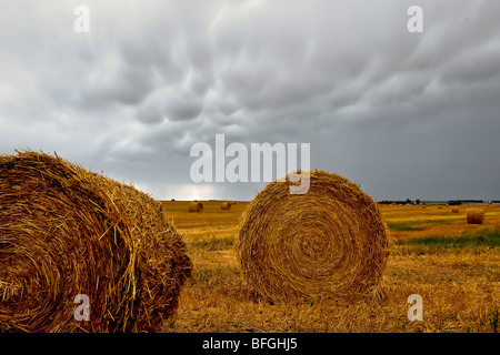 Hay bails and mammatus cloud formations. St. Leon, Manitoba, Canada.