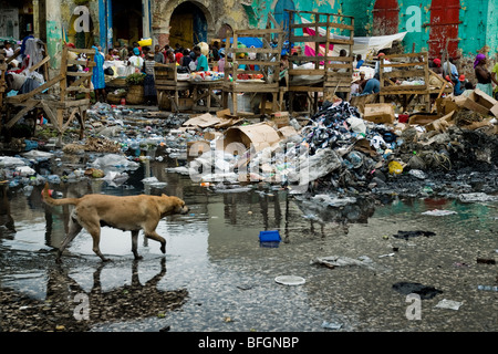 Tons of garbage decaying in the La Saline market, Port-au-Prince Stock ...