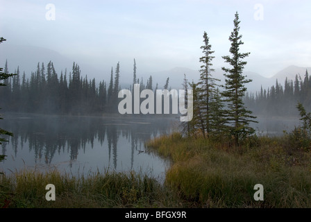 Fog over river flowing through boggy wetland. Wrangell St. Elias Mountain range in background. Photo taken along Glenn Highway A Stock Photo