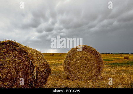 Hay bails and Mammatus cloud formations, St. Leon, Manitoba, Canada. Stock Photo
