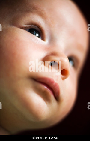 close up of a 2 months old eurasian baby boy Stock Photo