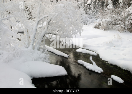 Big Hill Springs Provincial Park, Alberta, Canada Stock Photo