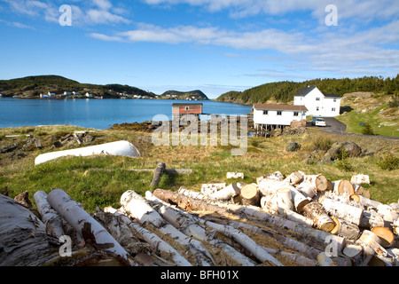 Herring Neck, New World Island, Newfoundland, Canada Stock Photo