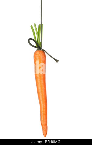 Carrot Stock Photo