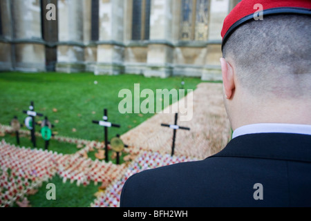 Serving Royal Military Policeman pays respects to fallen soldiers, killed during recent conflicts during Remembrance weekend. Stock Photo