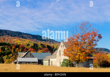 Farm house surrounded by fall foliage, Maria, Quebec, Canada Stock Photo