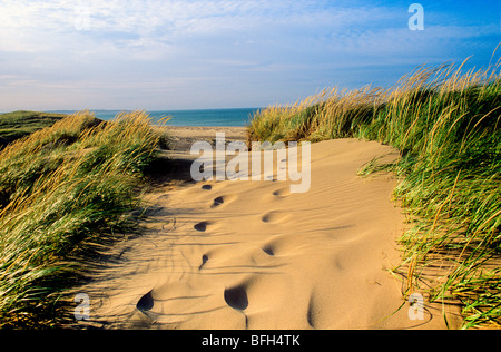 Sand dunes. Cavendish Beach, PEI National Park, Prince Edward Island, Canada Stock Photo