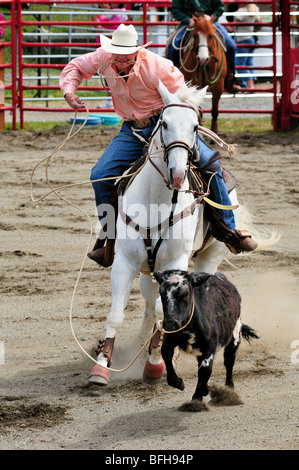 Cowboy calf roping at the Luxton Pro Rodeo in Victoria, BC. Stock Photo