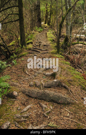 Estuary Trail, Squamish, British Columbia, Canada Stock Photo