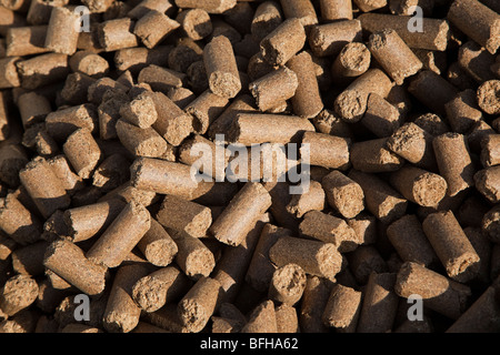 Cattle feed Stock Photo