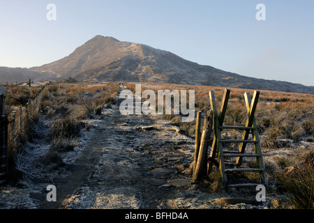 Track leading towards Moel Siabod Mountain. Stock Photo