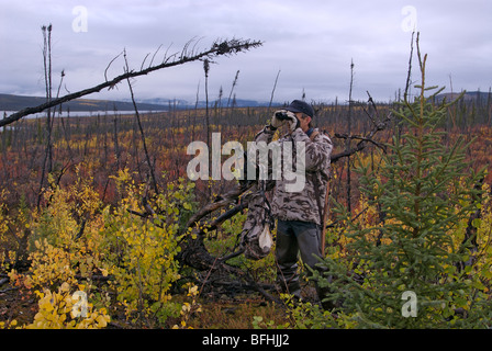 Hunter using binoculars. Yukon Territory, Canada. Model Release available. Stock Photo