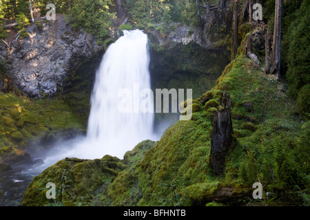 Sahalie Falls on the McKenzie River in the central Oregon Cascade Mountains in the Willamette National Forest. Stock Photo