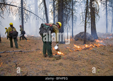 US Forest Service fire fighting crews help control a prescribed or controlled burn Stock Photo