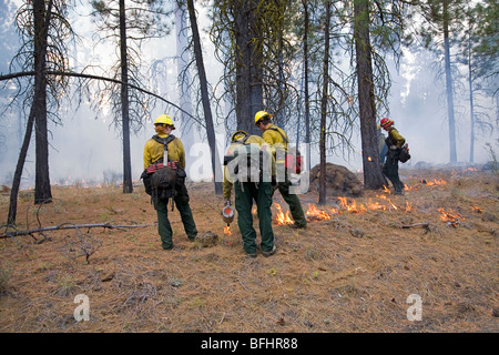 US Forest Service fire fighting crews help control a prescribed or controlled burn in a forest in the Cascade Mountains of Orego Stock Photo