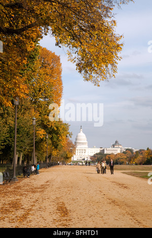 The Capitol building in autumn, National Mall, Washington DC, USA Stock Photo