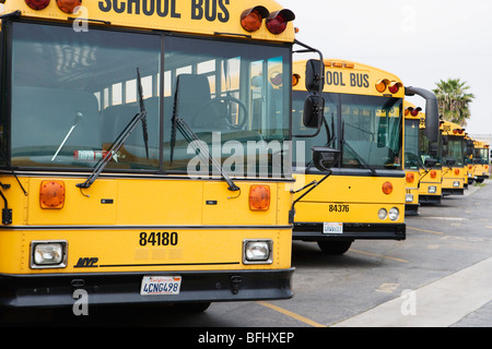 School Busses Parked in Parking Lot Stock Photo