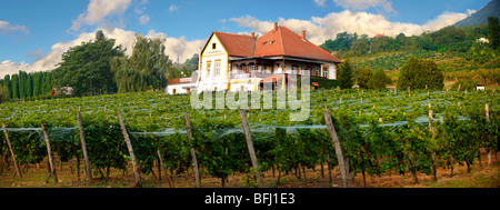 Wine cellar in the Balaton hills vineyards , Balaton, Hungary Stock Photo