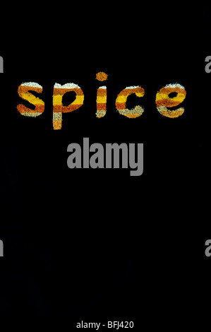 spices mobile logo