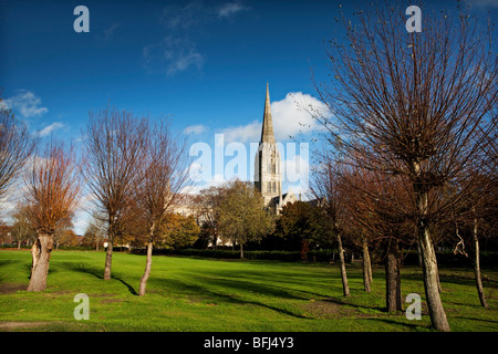 Salisbury Cathedral in November, Wiltshire, UK with a blue sky and willow trees in the foreground Stock Photo