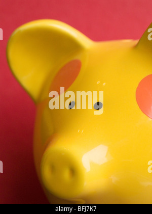 Close up of a yellow ceramic pig 'piggy bank' Stock Photo