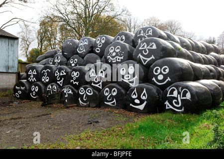 Decorated silage bales in a Leicestershire farmyard. Stock Photo